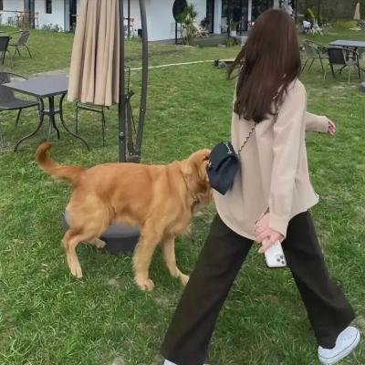 焦裕禄